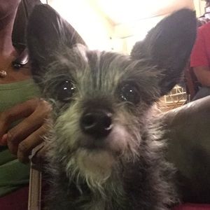 Meet your Posher, Devon